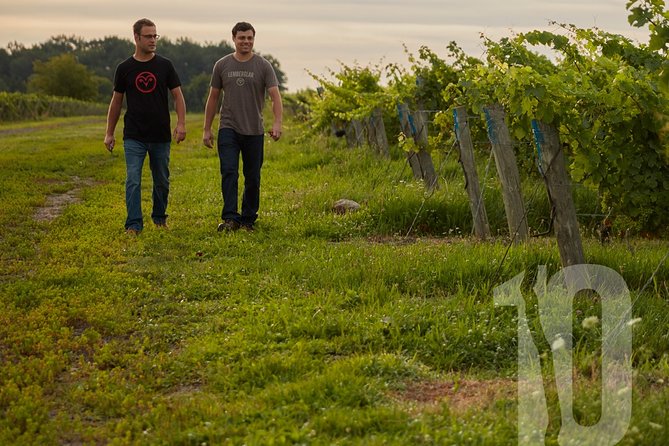 Between The Lines Classic Wine Tasting - Is the $18.78 price good value?