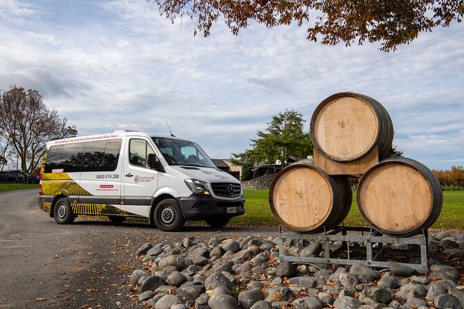 Beyond the Vines - Full-Day Marlborough Wine Tasting Tour - The vineyard setting adds more than a tasting room