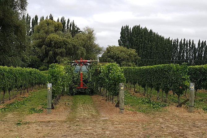 Beyond the Vines - Full-Day Marlborough Wine Tasting Tour - Small groups turn a scheduled tour into a social outing