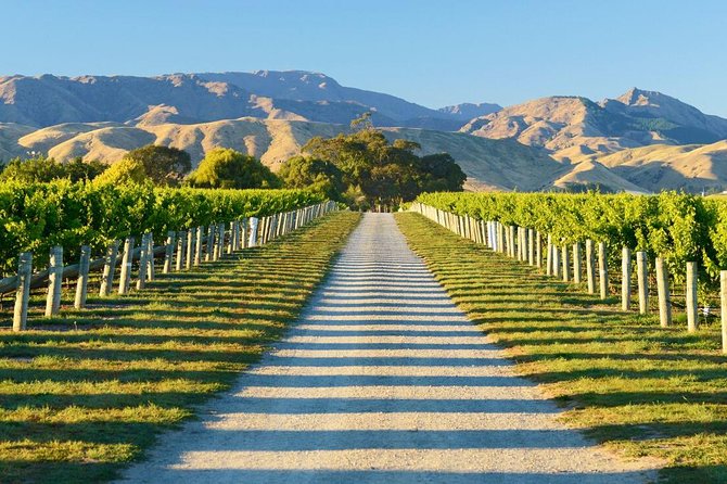 Beyond the Vines - Full-Day Marlborough Wine Tasting Tour - What happens at the Saint Clair lunch stop