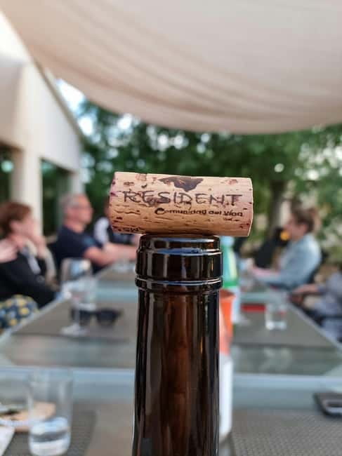 Binissalem: Individual vineyard tour and wine tasting in German - Key points to know before booking