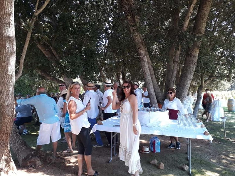 Binissalem: Individual vineyard tour and wine tasting in German - Snacks make the tasting feel like a shared afternoon