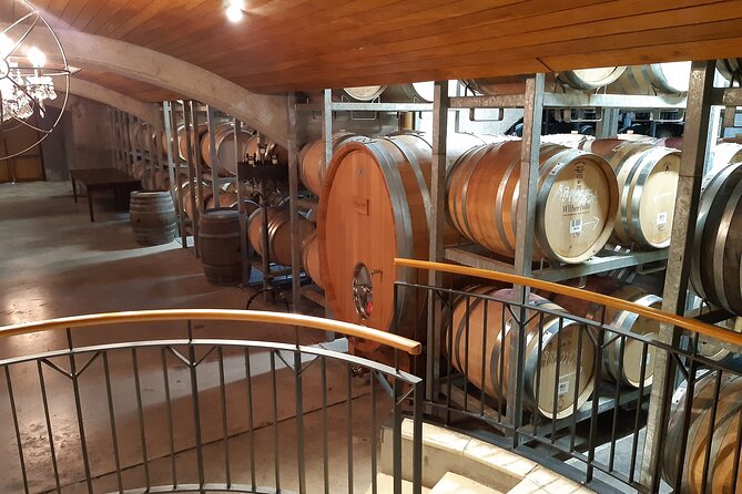 Blenheim Half day Wine Tour - A closer look at the winery visits