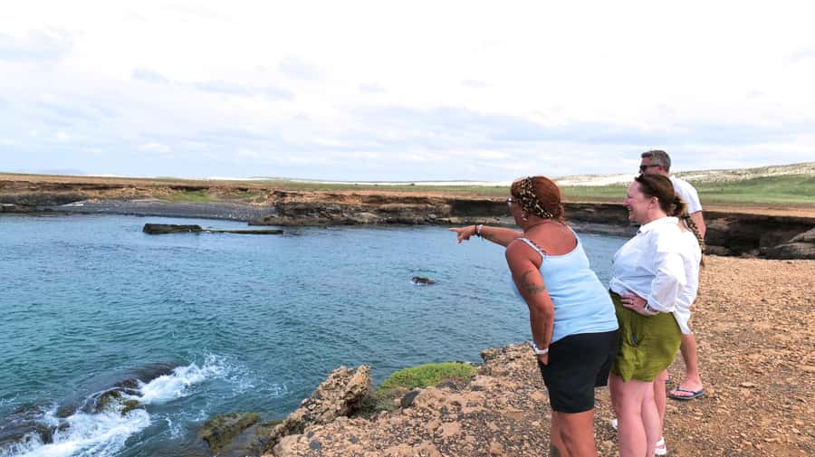 Boa Vista: Shark, Turtles, Cave, Sandboarding & Tasting Tour - What the $70 price really buys