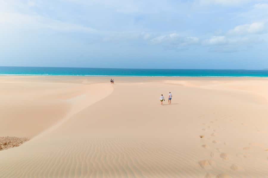 Boa Vista: Shark, Turtles, Cave, Sandboarding & Tasting Tour - Comfort, timing, and who should book