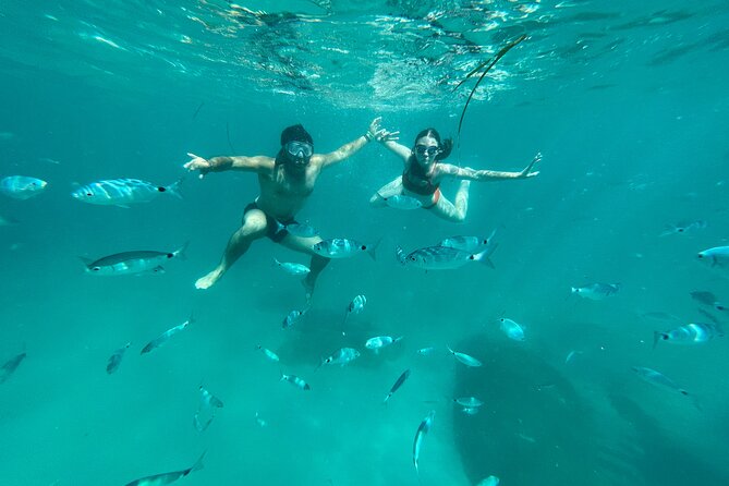 Boat Tour at Devil's Saddle: 4 Swim Stops, Snorkeling & Prosecco - Cala Bernat starts the swimming rhythm