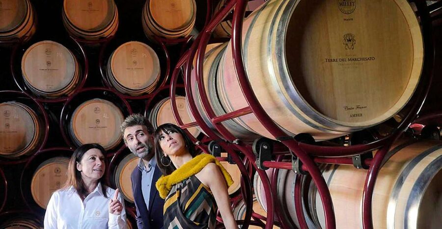 Bolgheri: Winery Tour with Wine Tasting - Inside the winery: from grape to glass