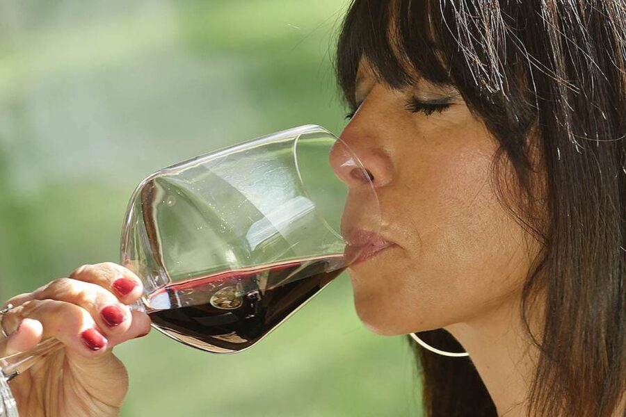 Bolgheri: Winery Tour with Wine Tasting - Bruschetta, olive oil, and the tasting table