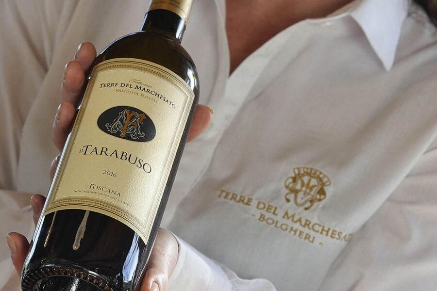 Bolgheri: Winery Tour with Wine Tasting - How much value do you get for $29?