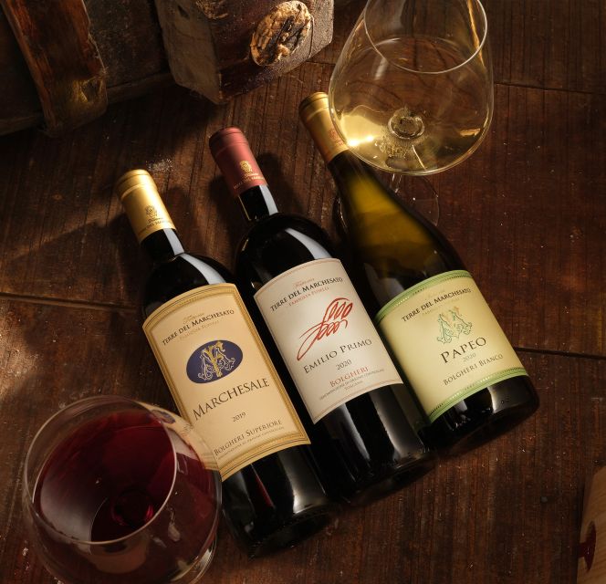 Bolgheri: Winery Tour with Wine Tasting - Who should book this Bolgheri winery visit?