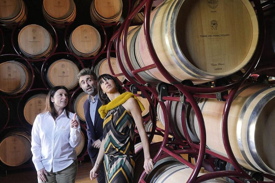 Bolgheri: Winery Tour with Wine Tasting - The vineyard introduction and the Fuselli family story
