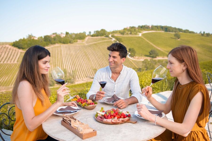 Bologna: Olive Grove and Vineyard Tour with Product Tastings - A working estate in the hills near Bologna