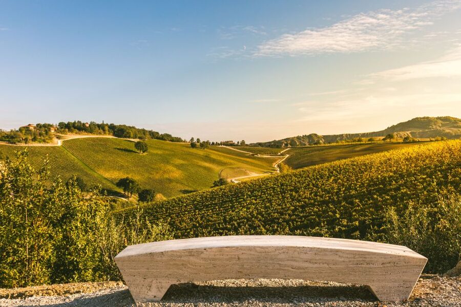 Bologna: Olive Grove and Vineyard Tour with Product Tastings - Learning to taste olive oil properly