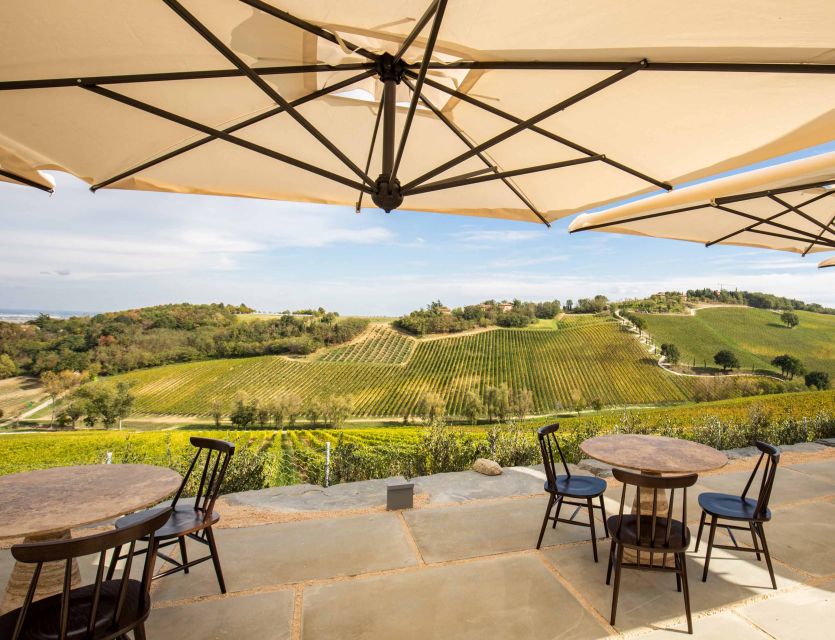 Bologna: Olive Grove and Vineyard Tour with Product Tastings - The terrace is part of the pleasure