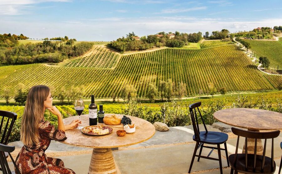 Bologna: Olive Grove and Vineyard Tour with Product Tastings - Is $20 a good value?