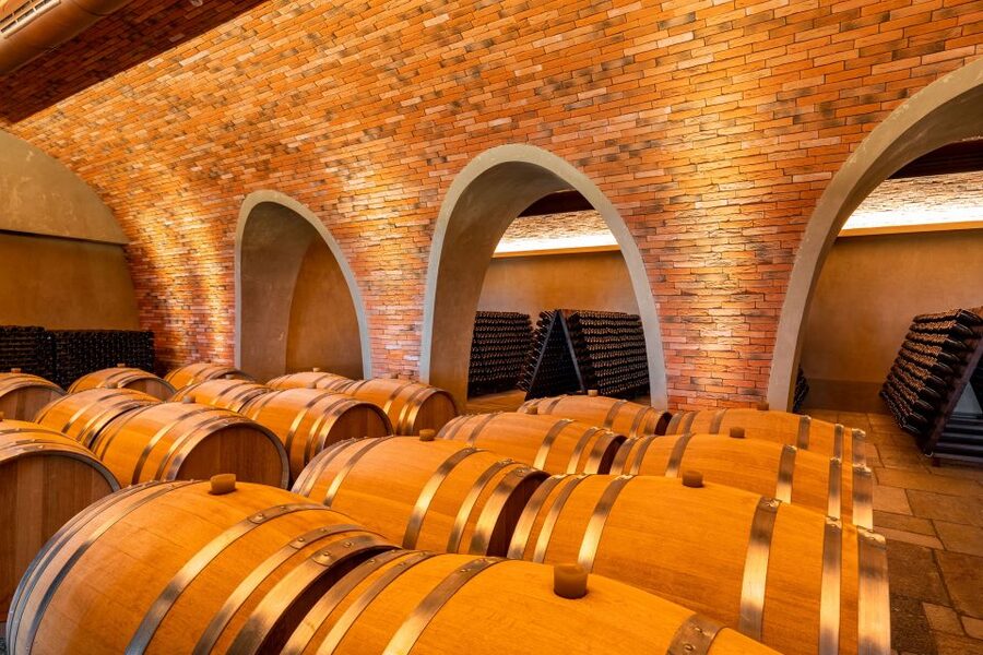 Bologna: Olive Grove and Vineyard Tour with Product Tastings - Timing, language, and practical limits