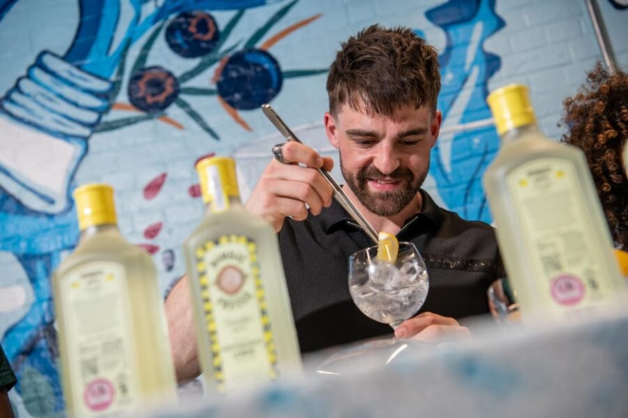 Bombay Sapphire Gin Distillery Tour - Practical details before you go