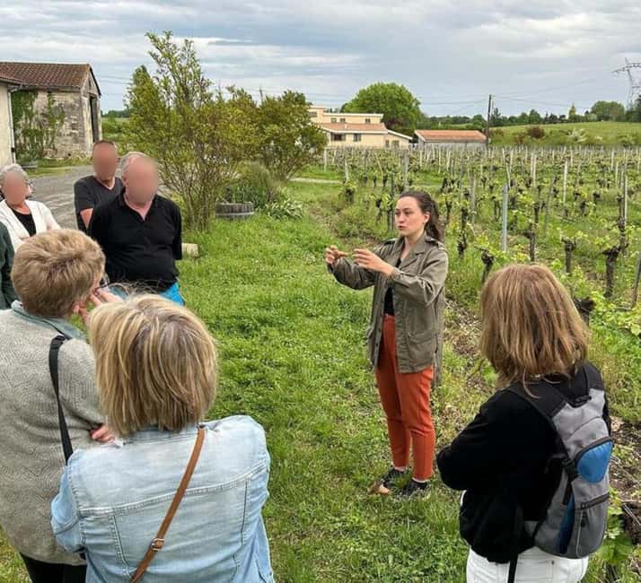 Bordeaux: Explore an Organic Family Vineyard with Tasting - Should you book Pestoury Vineyard?