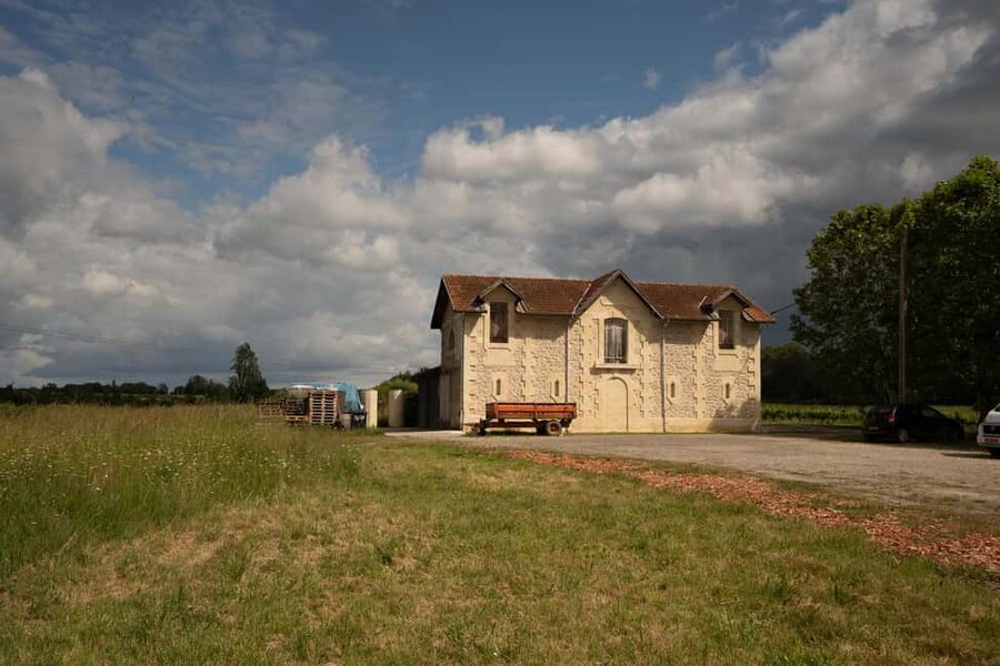 Bordeaux: Explore an Organic Family Vineyard with Tasting - A relaxed tour for beginners and curious drinkers