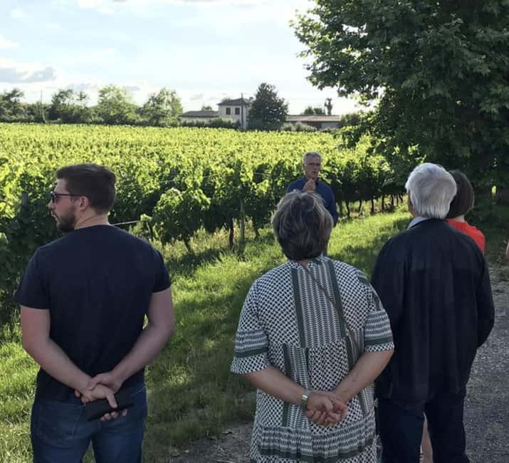 Bordeaux: Explore an Organic Family Vineyard with Tasting - See how organic farming affects the vines
