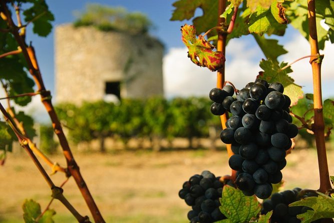 Bordeaux Full day Medoc and St Emilion 3 chateaux with Lunch - Two Bordeaux wine regions in one long day