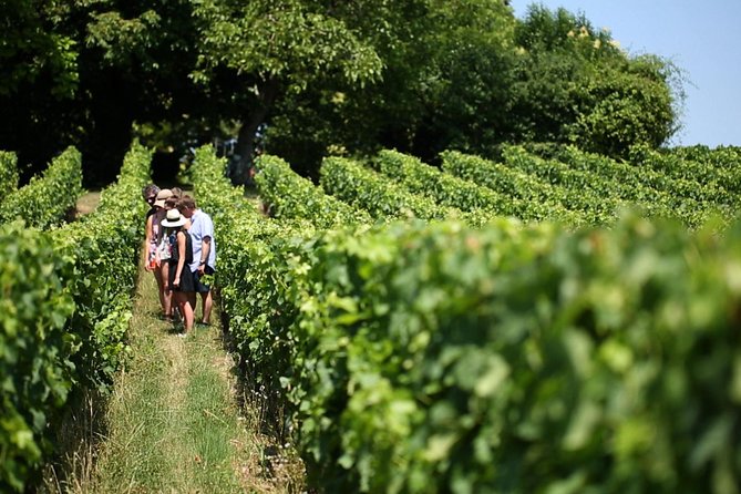 Bordeaux Full day Medoc and St Emilion 3 chateaux with Lunch - Saint-Émilion wine at a family-run estate