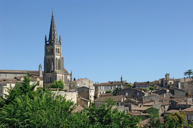 Bordeaux Full Day Wine Tour - 3 Wineries & Gourmet Picnic Lunch - Pessac-Léognan: a strong first lesson