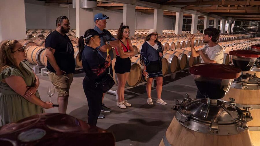 Bordeaux: Half-Day Margaux Tour with Wine Tastings - Small group comfort and guide quality