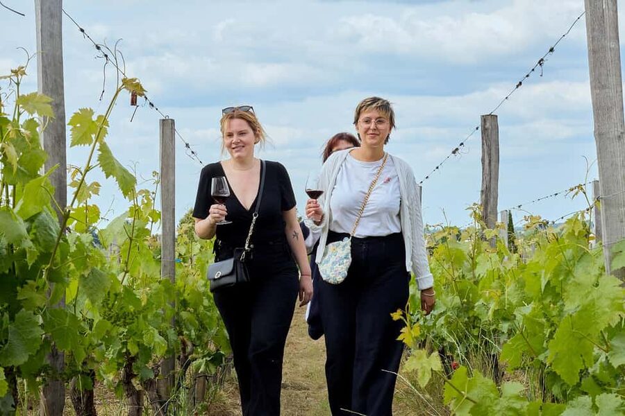 Bordeaux: Half-Day Margaux Tour with Wine Tastings - Who should book this Margaux outing