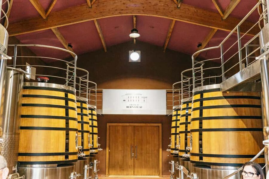 Bordeaux: St. Emilion Day Trip with Wine Tasting and Lunch - A château picnic with regional food