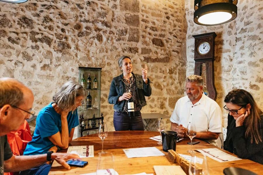 Bordeaux: St. Emilion Day Trip with Wine Tasting and Lunch - The second winery adds useful contrast