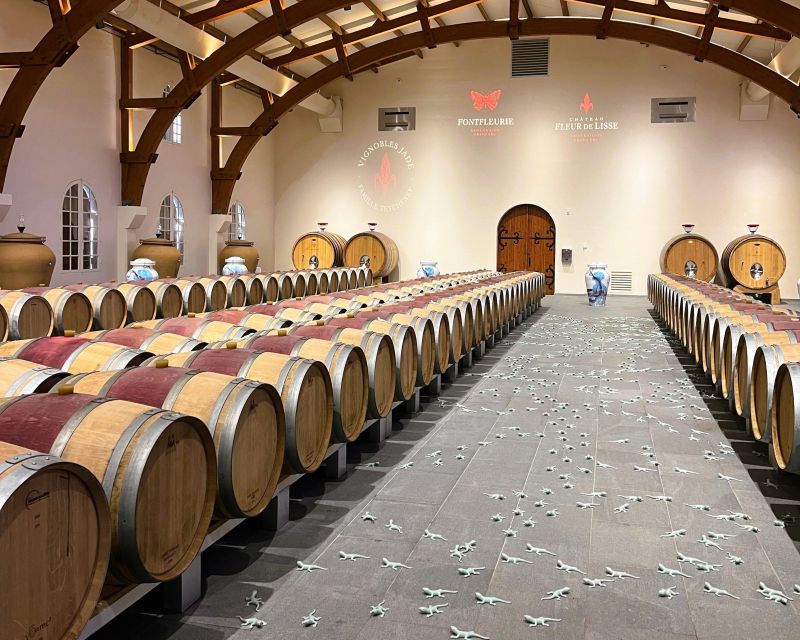 Bordeaux: St-Emilion Vineyards e-Bike Tour with Wine & Lunch - Booking advice and final verdict