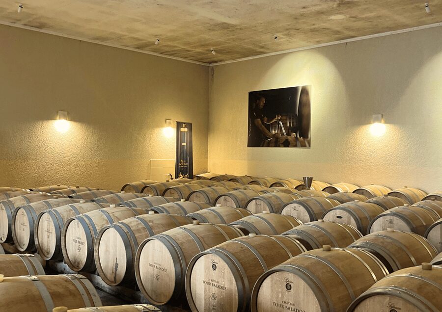 Bordeaux : Unforgettable Saint Emilion Half Day Wine Tour - Walking the medieval village for 90 minutes