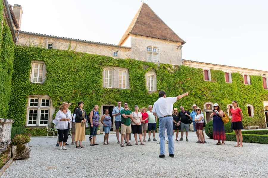 Bordeaux: Vineyards Wine Tasting Half-Day Trip - Choosing between Médoc, Graves, and Sauternais