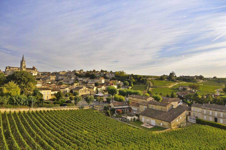 Bordeaux: Vineyards Wine Tasting Half-Day Trip - Entre-deux-Mers and the quieter side of Bordeaux