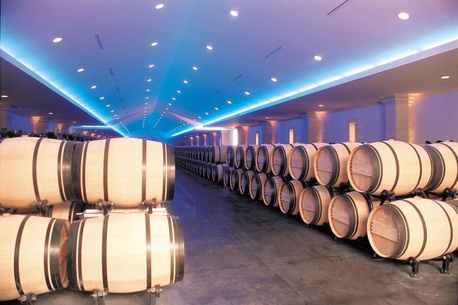 Bordeaux: Vineyards Wine Tasting Half-Day Trip - The coach ride and countryside views