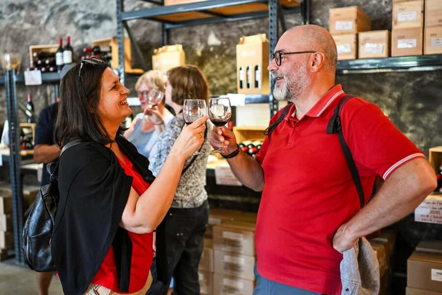 Bordeaux: Vineyards Wine Tasting Half-Day Trip - Value at $68 per person