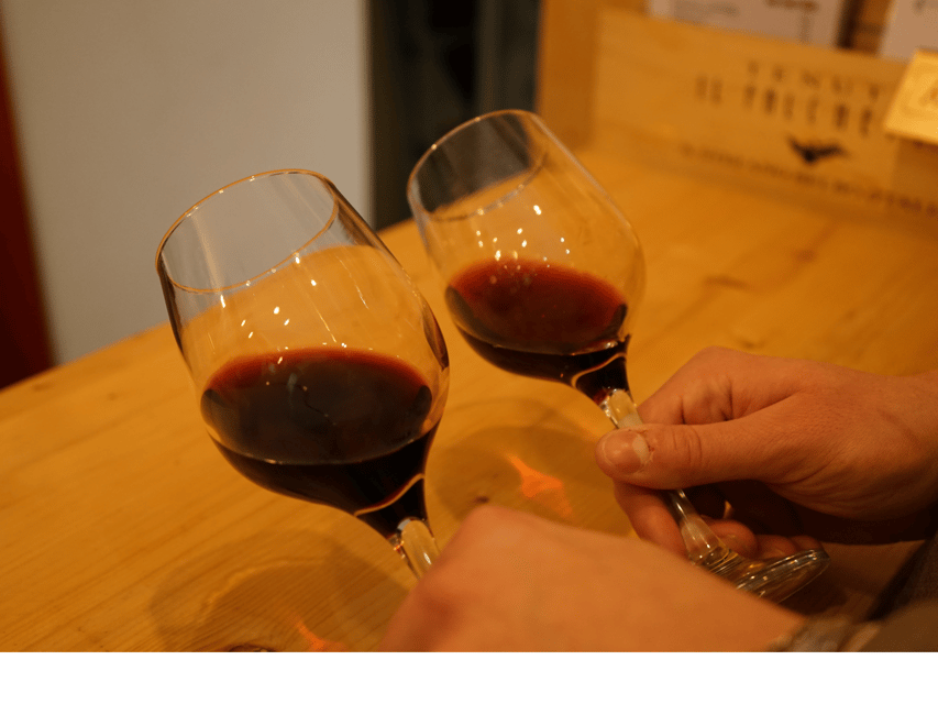 Boutique Wine Tasting in Turin City Center - Is $42 good value?