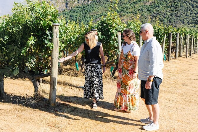 Boutique Wine Tour - visit Central Otago, 4 Wineries & Lunch - The final Gibbston tasting rounds out the route