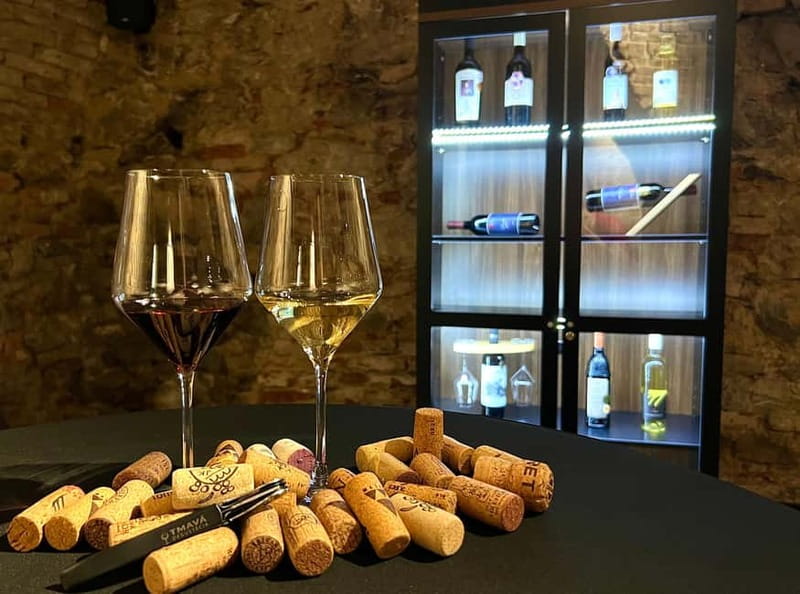 Bratislava: Wine Tasting Experience in the Dark - Entering the cellar on Michalská Street