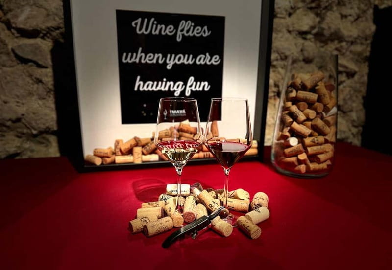 Bratislava: Wine Tasting Experience in the Dark - How the darkness changes the tasting