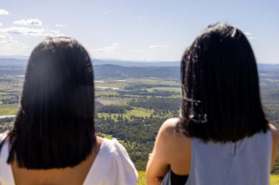 Brisbane: Tamborine Mountain Local Winery Tour with Lunch - Hampton Estate combines lunch and tasting