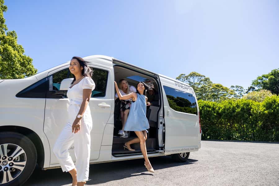 Brisbane: Tamborine Mountain Local Winery Tour with Lunch - Cedar Creek starts the tasting