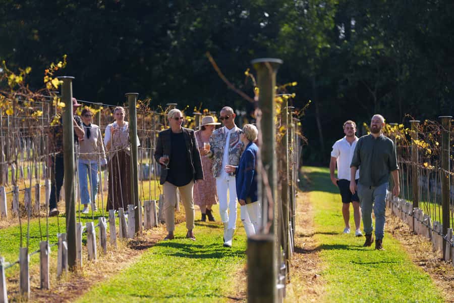 Brisbane: Tamborine Wine & Distillery Tour - Gallery Walk: lunch and free time