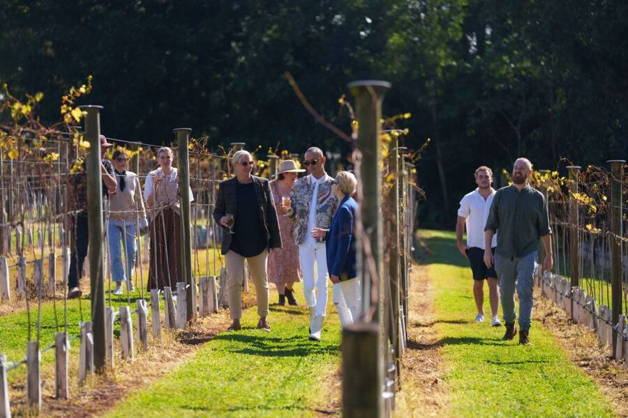 Brisbane: Tamborine Wine & Distillery Tour - Who will enjoy this Tamborine day most