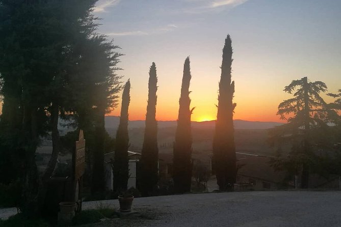 Brunello Wine Tour and Val D'Orcia Landscape - Pienza, Montalcino, and Montepulciano as your starting points