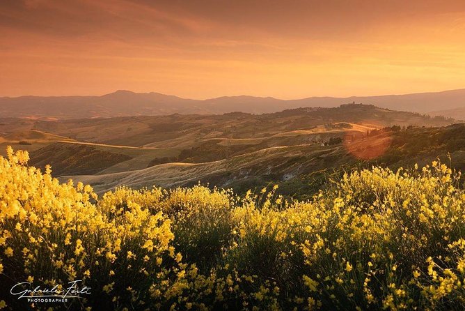 Brunello Wine Tour and Val D'Orcia Landscape - A private format that can change the pace