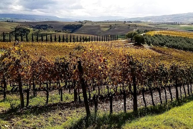Brunello Wine Tour and Val D'Orcia Landscape - Is $266.51 a fair price?