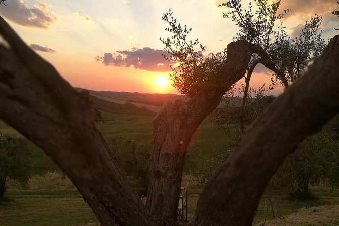Brunello Wine Tour and Val D'Orcia Landscape - Driving through the UNESCO-listed Val d’Orcia