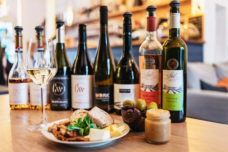 Budapest: Hungarian Wine Tasting with 8 Wines and Tapas - The first glasses: grape names and regional context